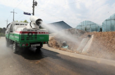북한까지 넘어온 돼지열병…동물백신·닭고기주 `고공행진`