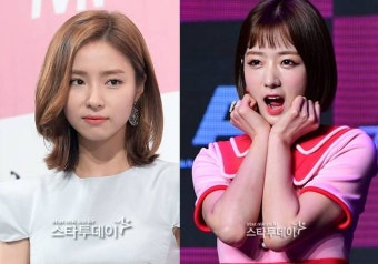 `국경없는 포차` 신세경·윤보미 불법촬영 몰카 스태프 징역 2년 구형