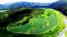 [테마여행] 1년에 딱 한번만 개방…놓쳐선 안될 제주 거문오름