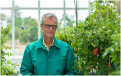 농업 푸드테크 : 바닷물로 토마토 키우는 `레드씨 팜스`