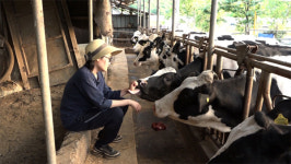 [오늘의 MBN] 젖소목장 부녀의 달콤살벌한 동거