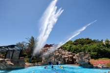 공항 주차부터 셔틀버스까지 원스톱으로…롯데호텔제주의 특별 서비스