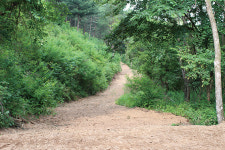 전원생활 꿈꾼다면 홍천으로 오세요… 2㎞ 자연 숲길 갖춘 ‘자은 숲속마을’ 전원주택
