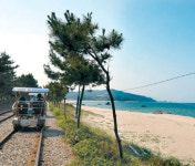 [삼척·동해 여행] 장호항을 `한국의 나폴리` 라고 부르는 이유