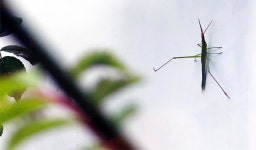[포토에세이] 오르고 또 오르다보면… 