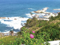 [걷기 프로젝트] 동해바다 끼고 걷다 해수욕까지 ‘강원도 비경’ 양양 해파랑길 44코스