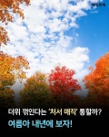 [카드뉴스] 더위 꺾인다는 ‘처서 매직’ 통할까? 여름아 내년에 보자!