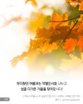 [카드뉴스] 더위 꺾인다는 ‘처서 매직’ 통할까? 여름아 내년에 보자!