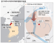 발병 알려지자 요동친 경매…돼지고기 도매가 34% 치솟아