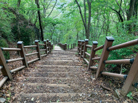청량한 산길을 걷다-청량산 청량사 淸凉寺