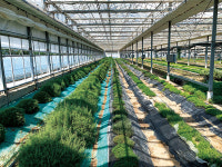 머나먼 그곳으로의 여행…시골의 본질 ‘안동’