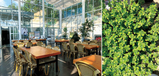 머나먼 그곳으로의 여행…시골의 본질 ‘안동’