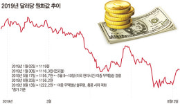 달러 널뛰기 시대 換테크| 하반기 한국 경제·안보 이중고 위험… 달러 예금·보험·ETF 분할 투자를