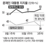 조국 사태에 경기침체까지…중도·청년층 긍정평가 `뚝`