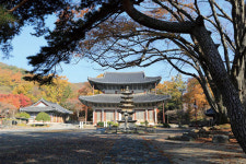 가을 만끽 문화 여행-백제로 가는 길