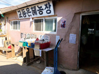 강화도 대룡시장…추억을 담고, 청년 시장으로 거듭나다