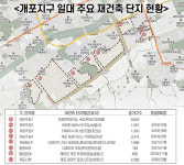 `개도 포기한 동네`로 놀림받던 서울 강남 개포동, 지금은…