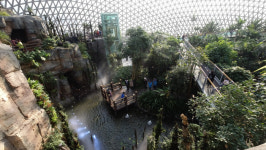 열대식물 1만여종…국내 최대 돔형 유리온실 `거제 정글돔` 17일 개장