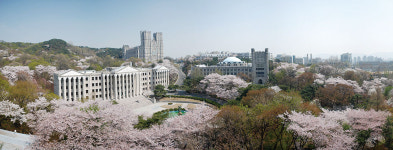 회기동 回基洞…‘다시 돌아가고 싶은’ 조용한 젊은 동네