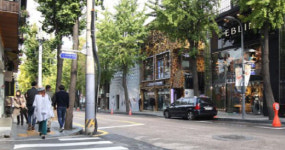 신사동 `가로수길` 법정도로명으로 바뀐다
