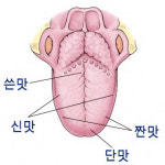 맛을 못 느끼는 `미각소실`은 질병일까?