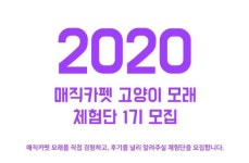 매직카펫, 2020 체험단 & SNS 서포터즈 참여자 모집