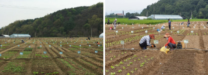 서울시, 내달 3일부터 친환경농장 6940구획 선착순 분양
