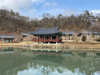 [여행+] 청정 솔숲·푸른 바다…休~숨통 트이는 그곳으로