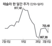 테슬라 믿고 올라탔는데…애타는 해외주식 직구족