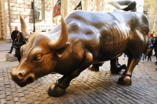 `팬데믹` 신종코로나 바이러스, 마침내 美황소를 쓰러뜨리다