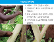 크로스컬쳐 프로젝트 ‘오지GO with 코무바울루’…오지GO 3형제가 해변에서 오열한 이유?