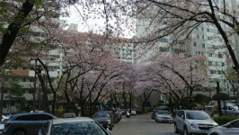 공시가 인상 부담되고 사업 지연도 우려…재건축 추진위 교체나선 명일 대단지