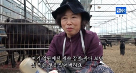 `인간극장` 이옥순 씨 500마리 염소엄마…키우다보면 내가 늙어