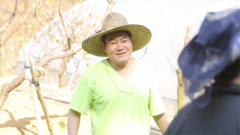 [오늘의 MBN] 트로트 가수 진성, 750평 텃밭 공개