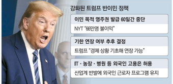트럼프 