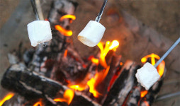 [포토에세이] 마시멜로를 굽는 시간