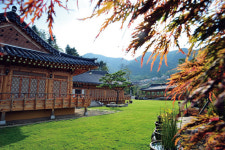 서울 근교 수목원 산책-적당히 거리 두고, 천천히 자연 속으로