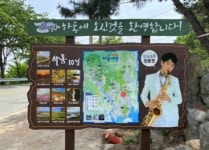박지성길 7배 ‘정동원길’, 기네스북 등재될까