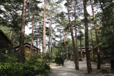 숲속은 `산림치유` 인파로 넘실…코로나블루도 싹~