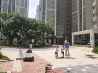 [단독] 띵동, 딜리가 배달왔어요... 15분만에 정확히 찾아온 로봇, 너무 신기해 탄성