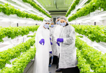 [포토] 아부다비에 뜬 K스마트팜