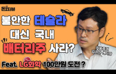 [돈터뷰] 불안한 테슬라 대신 국내 배터리주 사라? (feat: LG화학 100만원 도전?)