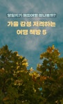 [카드뉴스] 가을 감성 저격하는 여행 책방 5