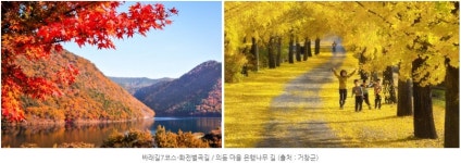 현지인도 잘 모르는 ‘가을 느낌 물씬’ 비대면 여행지 18선