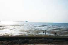 경기만 소금길 힐링 트레킹-두 발로 읽는 생명의 길