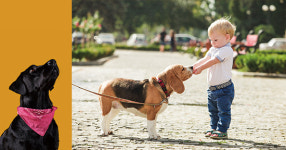 인간의 라이프스타일에 녹아든 펫코노미-‘댕냥의 시대’가 온다