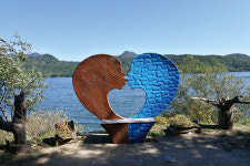 [Dear My Walking] 강원도 횡성군 횡성호수길 5구간, 호숫가 숲에서 쉼을 찾다