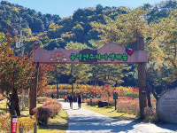 스토리 부자 여행 - 가을 수타사 찬찬히 걷기