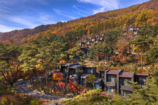 [돈되는 분양] 포레스트 리솜, 150년 원시림 속 힐링리조트