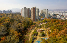 [포토] 우리 집 거실에서 떠나는 단풍놀이